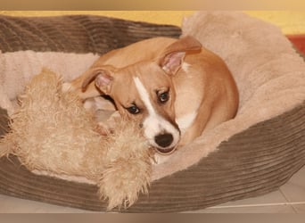 Paolo: Lebensfreude pur