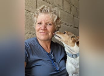 ROCKY- menschenbezogen und behütet war sein Leben, jetzt auf der Suche nach neuer Familie