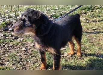 menschenbezogene Nelly