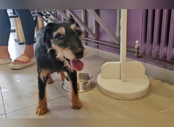 menschenbezogene Nelly