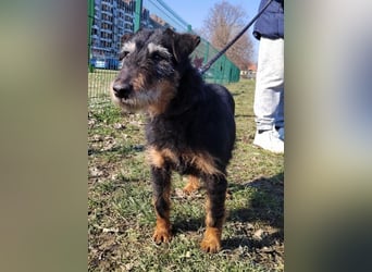 menschenbezogene Nelly