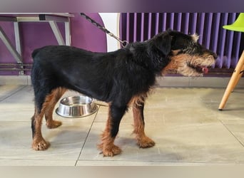 menschenbezogene Nelly