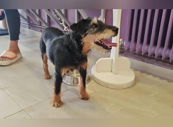 menschenbezogene Nelly