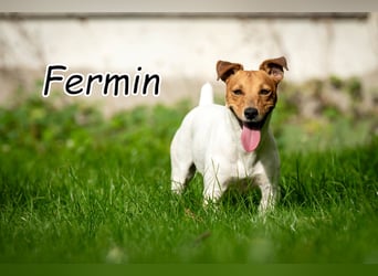 Wollen Sie Fermin kennenlernen?