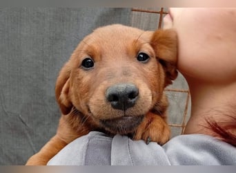 Tini ❤️ aufgeweckt, neugierig + lebensfroh