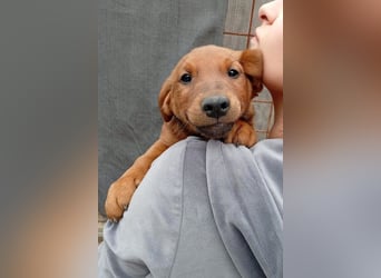 Tini ❤️ aufgeweckt, neugierig + lebensfroh