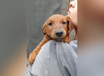 Tini ❤️ aufgeweckt, neugierig + lebensfroh