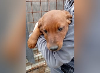 Tini ❤️ aufgeweckt, neugierig + lebensfroh