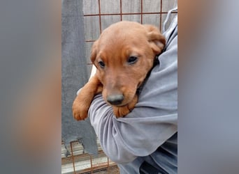 Tini ❤️ aufgeweckt, neugierig + lebensfroh