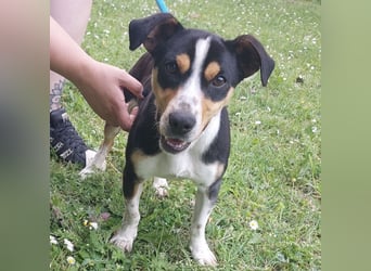Biggi ein winziger lieber  Schatz