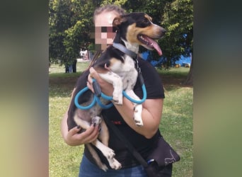 Biggi ein winziger lieber  Schatz
