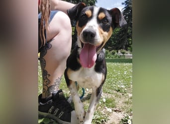 Biggi ein winziger lieber  Schatz