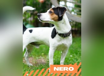 Nero