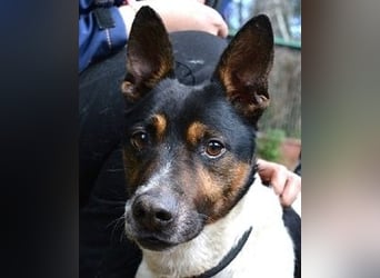 Matteuccio - Ein kleiner Kämpfer mit großem Herzen