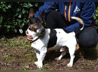 Matteuccio - Ein kleiner Kämpfer mit großem Herzen