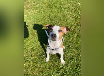 Benny auf dem Weg in sein Glück