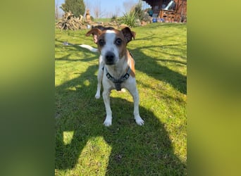 Benny auf dem Weg in sein Glück