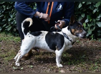 Matteuccio - Ein kleiner Kämpfer mit großem Herzen