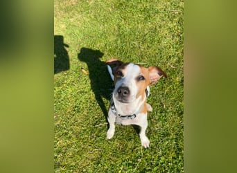 Benny auf dem Weg in sein Glück