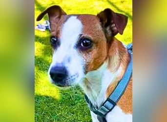 Benny auf dem Weg in sein Glück