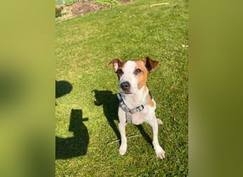 Benny auf dem Weg in sein Glück