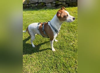 Benny auf dem Weg in sein Glück