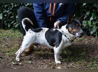 Matteuccio - Ein kleiner Kämpfer mit großem Herzen