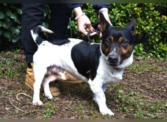 Matteuccio - Ein kleiner Kämpfer mit großem Herzen