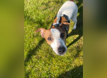 Benny auf dem Weg in sein Glück