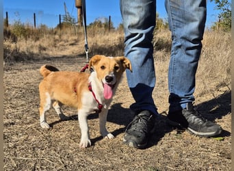 Kleine Maya wünscht sich ein Zuhause Kleine Maya wünscht sich ein Zuhause
