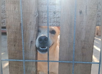 Kleiner Jim sucht neuen Wirkungskreis