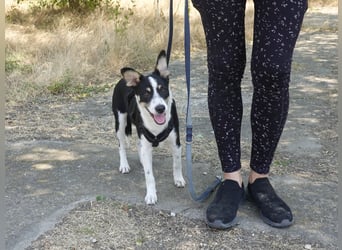 Marla sucht ein liebevolles Zuhause