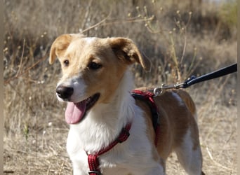 Kleine Maya wünscht sich ein Zuhause