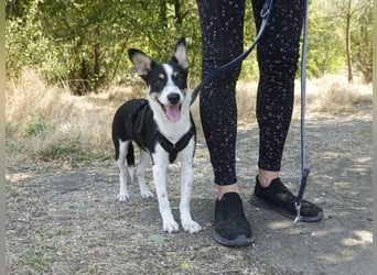 Marla sucht ein liebevolles Zuhause