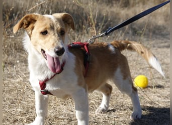 Kleine Maya wünscht sich ein Zuhause Kleine Maya wünscht sich ein Zuhause