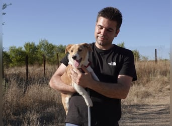 Kleine Maya wünscht sich ein Zuhause