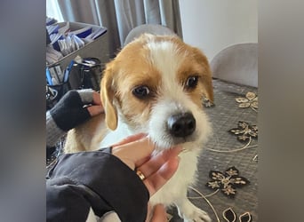 Minnie - einfach ausgesetzt