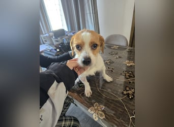 Minnie - einfach ausgesetzt