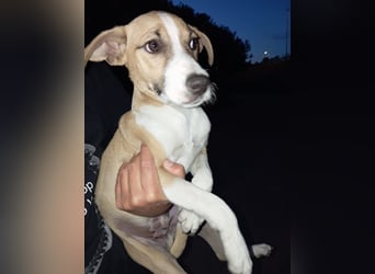 Paolo: Lebensfreude pur