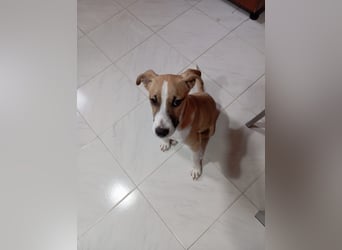 Paolo: Lebensfreude pur