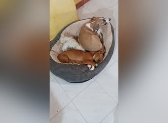 Paolo: Lebensfreude pur