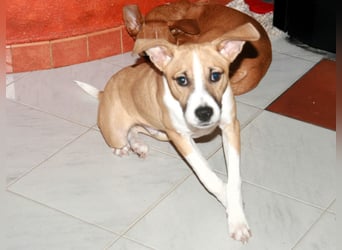 Paolo: Lebensfreude pur