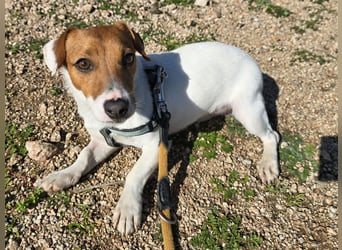 Dennis: wem darf er sein Herz schenken