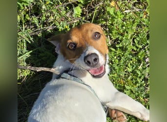 Dennis: wem darf er sein Herz schenken