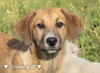 Zwei kleine Jungs   suchen ein Zuhause