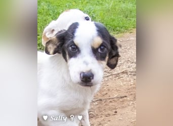 Sparky und Sally   suchen ein Zuhause