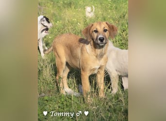 Zwei kleine Jungs   suchen ein Zuhause