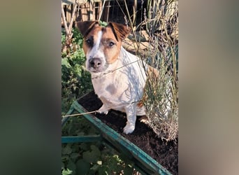 Freya VA etwas ganz besonders kluges mit Herz