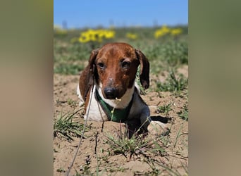 Lönne liebt spontane Abenteuer