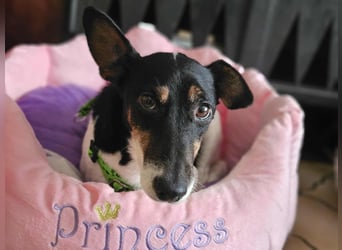 Marcella ist sportlich und schlau (61184 Karben)